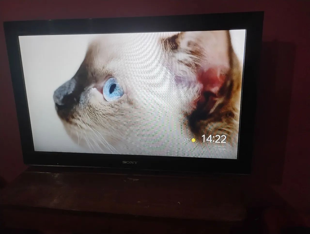 Televisão 
