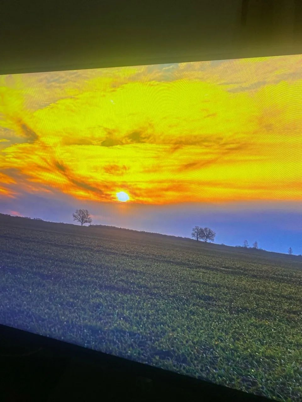 MONITOR DELL  - Foto 3