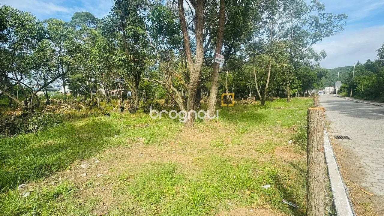 Oportunidade Norte da Ilha, terreno com 380m². - Foto 3