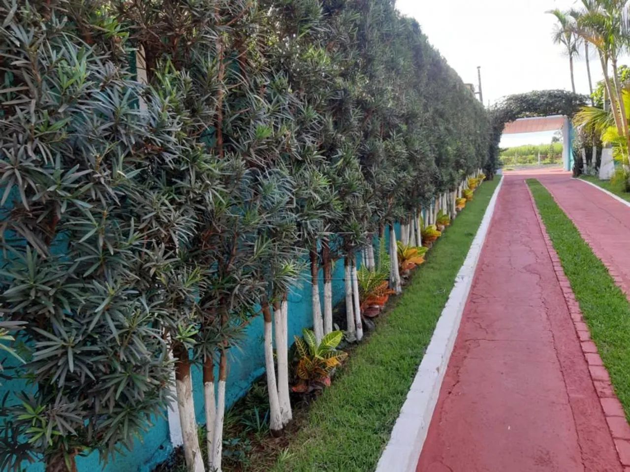 CHACÁRA PRÓXIMA À SERRANA