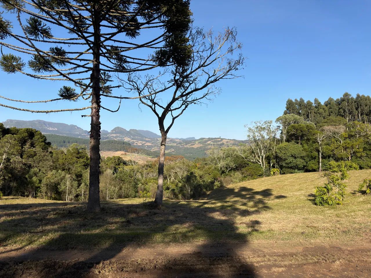 Sítio a apenas 2 km do Centro de Alfredo Wagner - Vista para as Serras