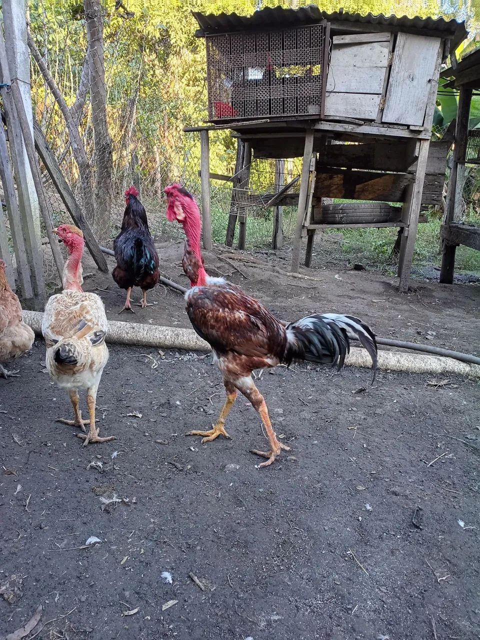 A venda  - Foto 4