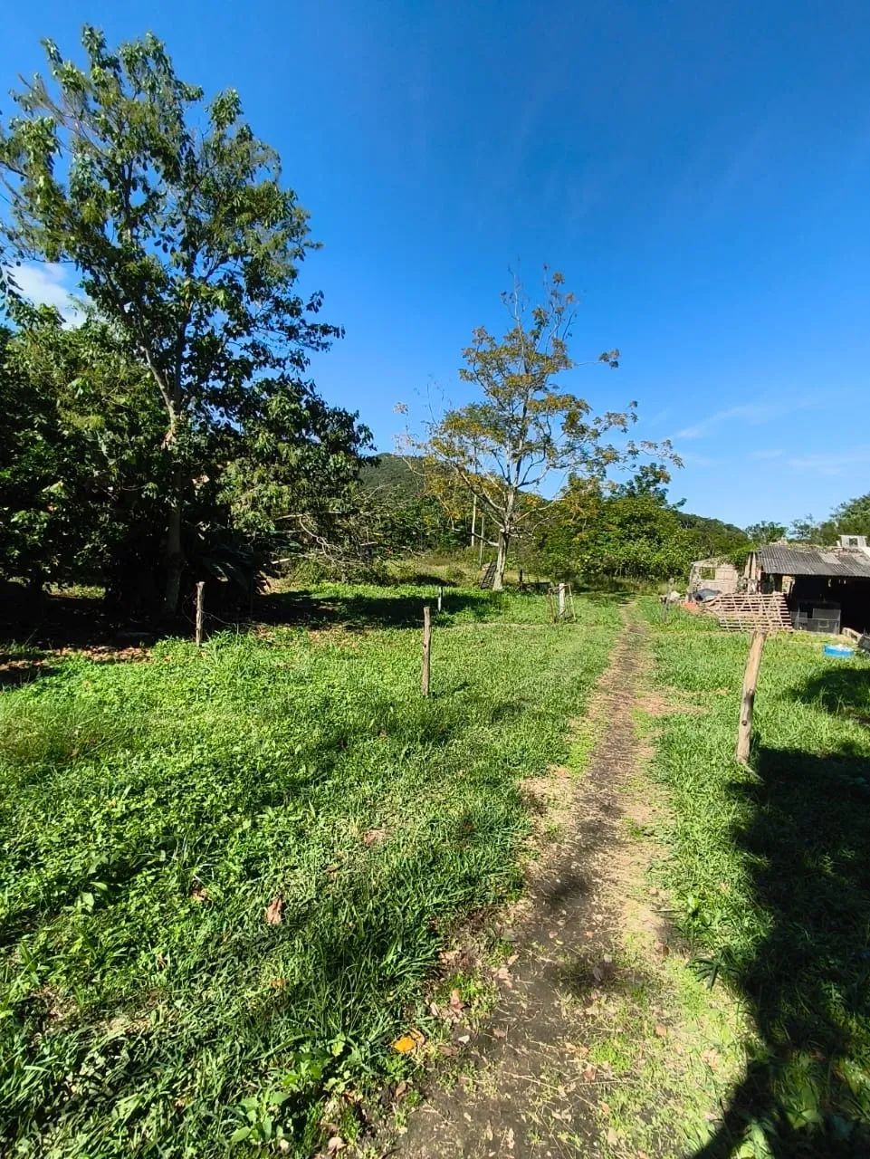 Terreno de Grande Porte com Viabilidade Residencial e Comercial - Foto 4