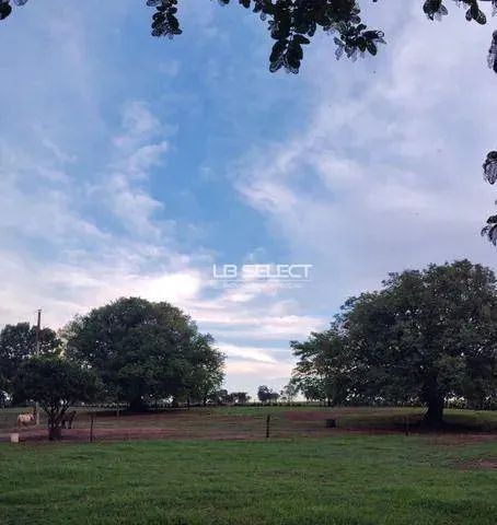 Fazenda na região de Ituiutaba com 133 hectares. - Foto 4