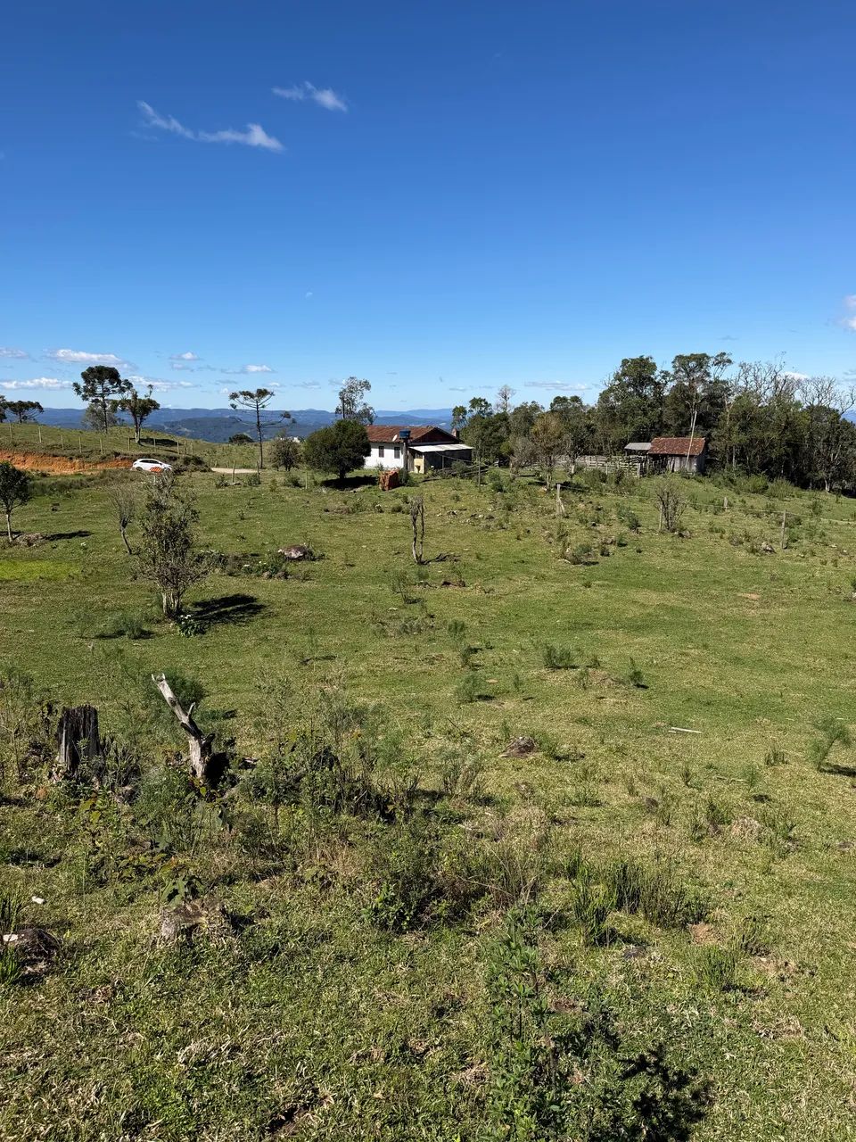 ANITÁPOLIS/SC - Lindo sítio na comunidade da serrinha