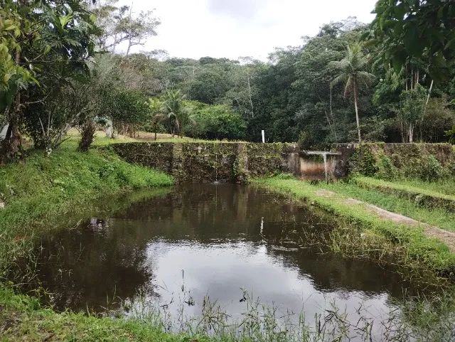 chacara com terreno de 59000m2 em aldeia camaragibe - Foto 4