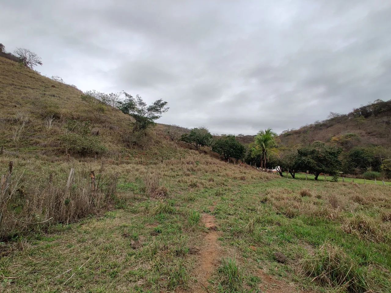 Fazenda em Afonso Cláudio - ES - Foto 4