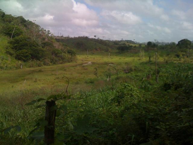 Zé Doca - Maranhão: Vendo Propriedade Rural - Foto 5
