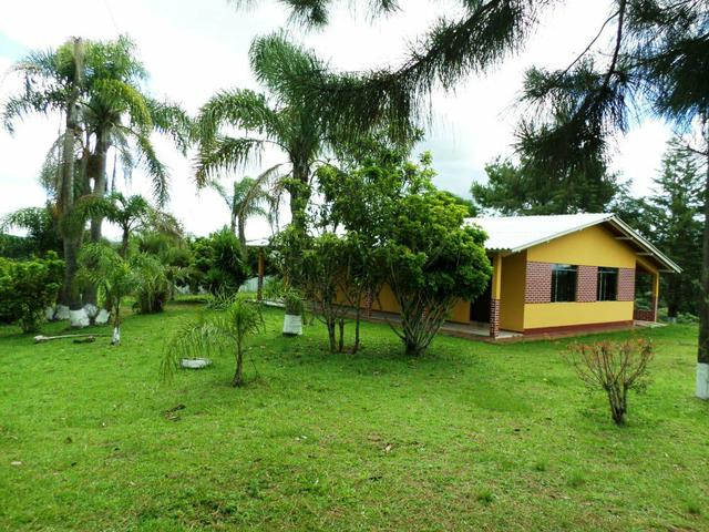Chácara em Quitandinha 1alqueire ½ - Foto 4