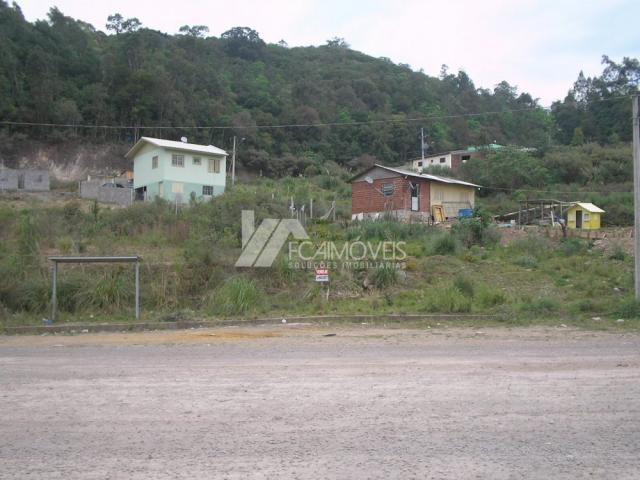 Terreno à venda em Santa catarina, Caxias do sul cod:352883 - Foto 3