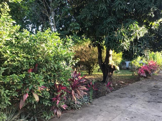 Aluga-se excelente Casa em Abrantes - Foto 5