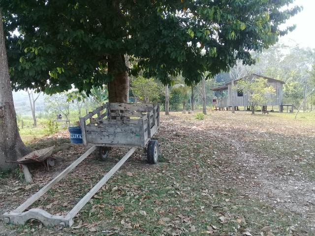 Vendo uma colônia em Porto Acre 90mil aceito propostas