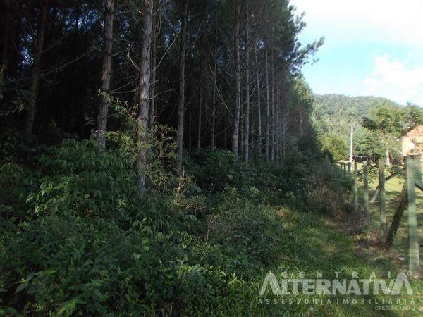 Chácara no ribeirão do zinco - Foto 7