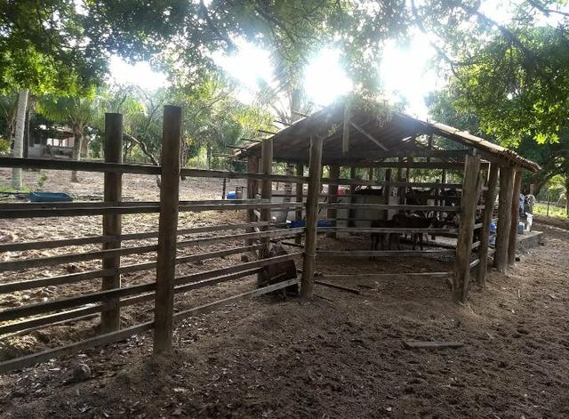 Linda Fazenda em Alagoinhas - Foto 15
