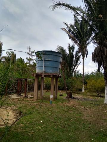 Preço imperdível !!! Vendo Sítio em bacabeira pronto para plantio e criação de galinhas - Foto 3