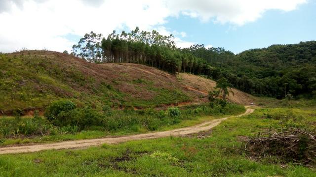 Sítio com área 183.477m², nascente, muita natureza, privacidade. Confira - Foto 4