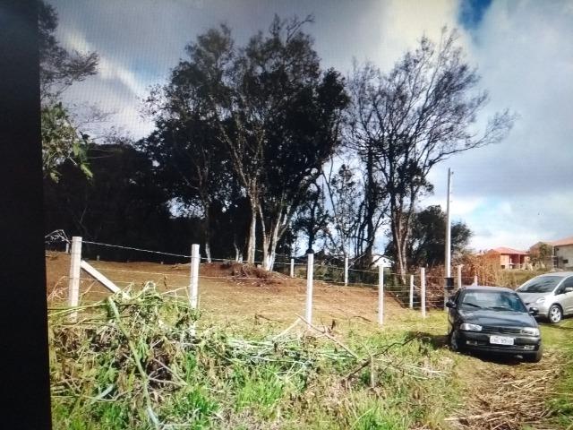 Terreno em S.J.Pinhais - Foto 2
