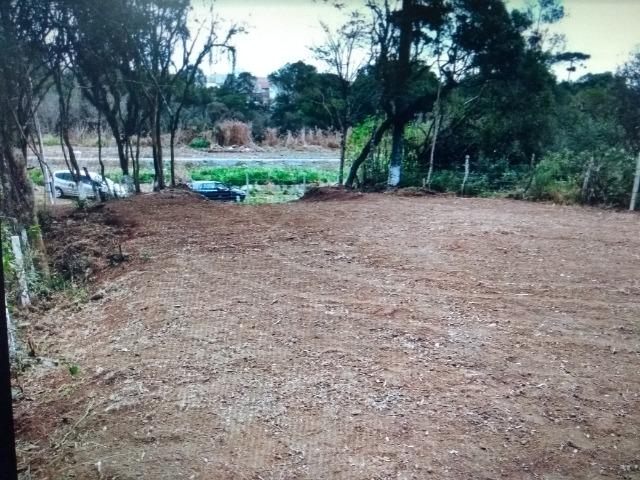 Terreno em S.J.Pinhais - Foto 6