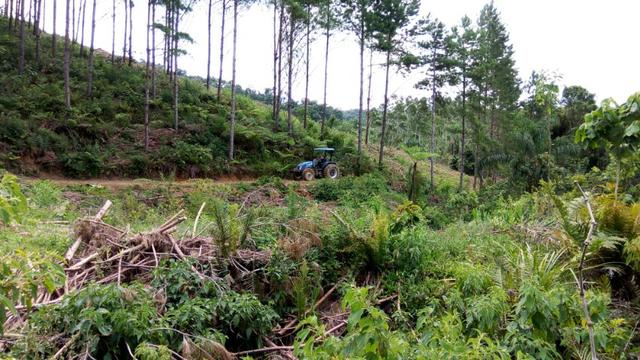 Sítio com área 183.477m², nascente, muita natureza, privacidade. Confira - Foto 19