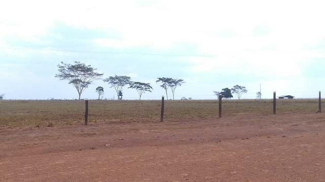 25 MIL HECTARES RO - Foto 12