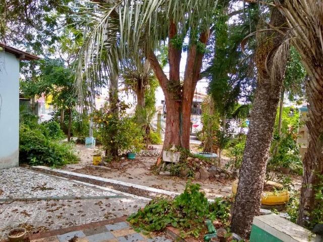 Terreno em Perfeita Localização - 400 m² - Foto 5