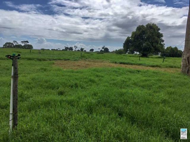 Excelente Fazenda em Amélia Rodrigues - Bahia - Foto 10