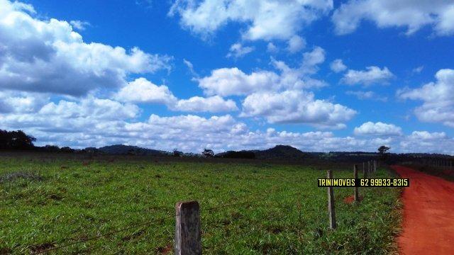 Fazenda de 13 alq. em Trindade - Foto 7