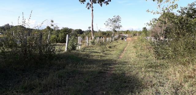 Fazenda em Roraima na BR210 - Caroebe - Foto 5