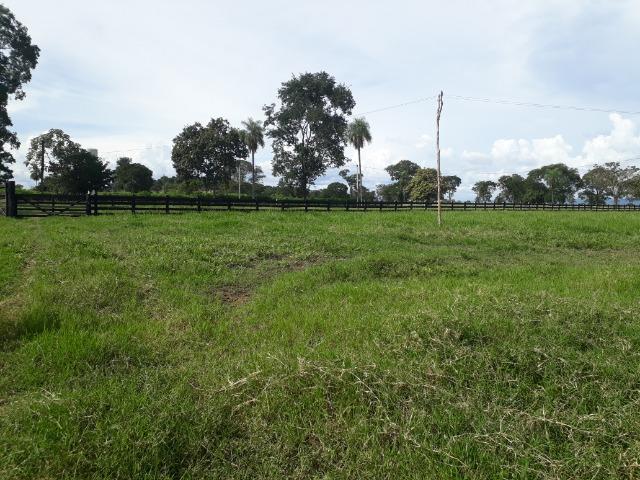 Área para confinamento ou laticínio na comunidade olho dagua na BR 364 a 30 km de Cuiabá - Foto 17