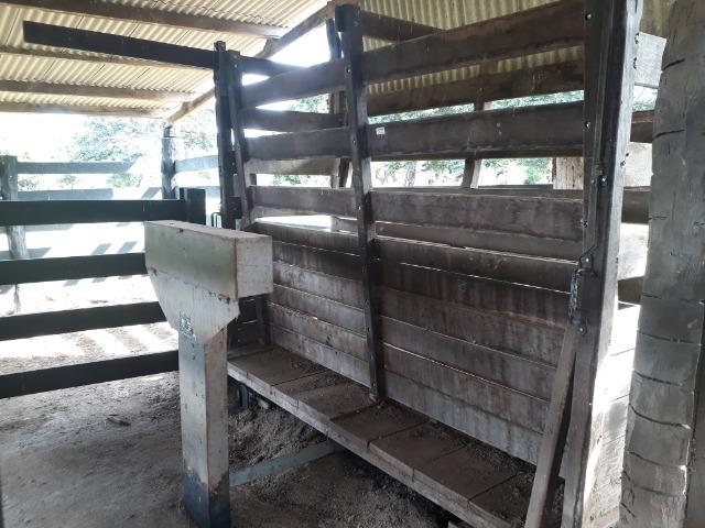 Área para confinamento ou laticínio na comunidade olho dagua na BR 364 a 30 km de Cuiabá - Foto 6