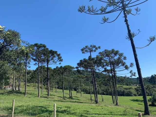 Urubici/ chácara em Urubici/ terrenos em Urubici