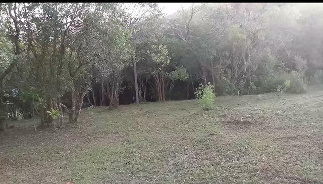 Vendo Sitio,valor:160.000,00 - Foto 5