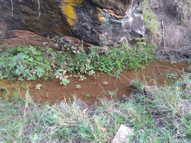 Venda-se está propriedade de 12 alqueires no Município de Muqui/ES - Foto 14