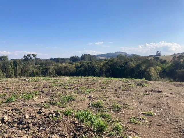 Chácara de 2 alqueires a 12 km da cidade - Foto 4