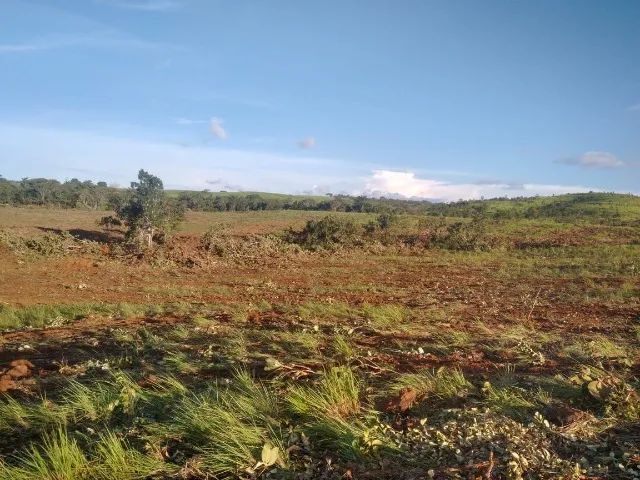 Fazenda de 50 Alqueires A Venda em Tocantins - Foto 2