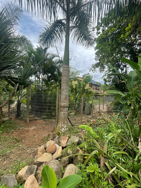 Ubatuba Itamambuca condomínio