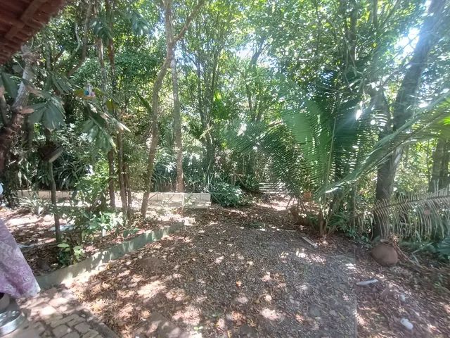 Vendo Chácara 4.000m2 no Retiro do Congo em Vila velha  - Foto 3