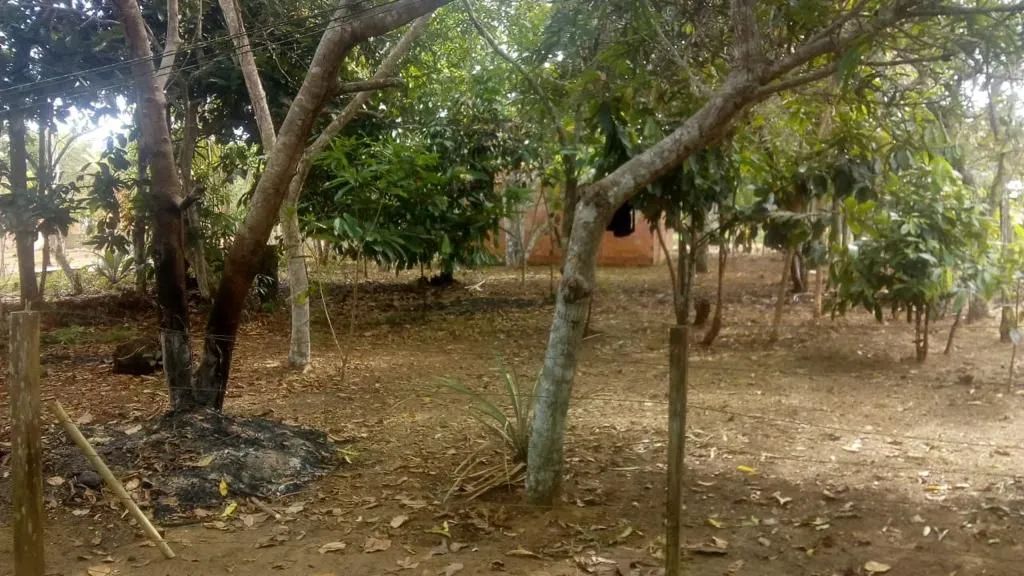 //Lote em Açutuba com 800 m2