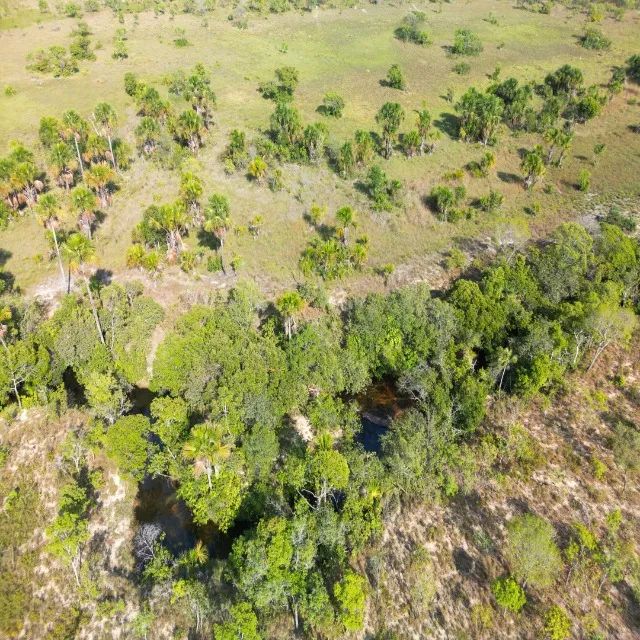 Oportunidade, chácara no JALAPÃO (TO) 96mil metros - Foto 5