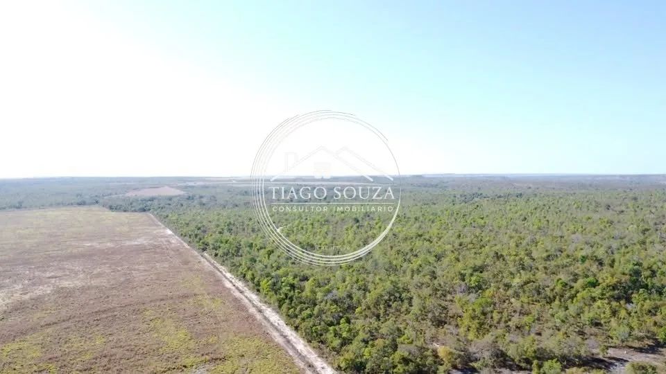 FAZENDA À VENDA - Lagoa do Tocantins/TO - Foto 4