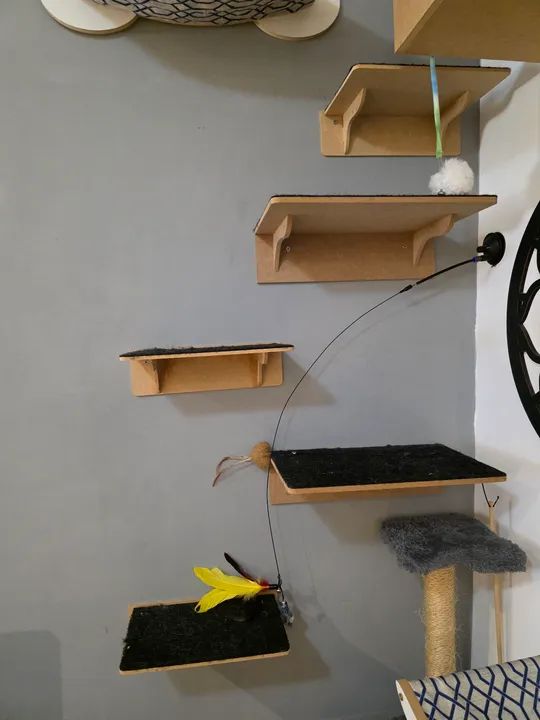 Itens para gatificar ambientes. - Foto 5