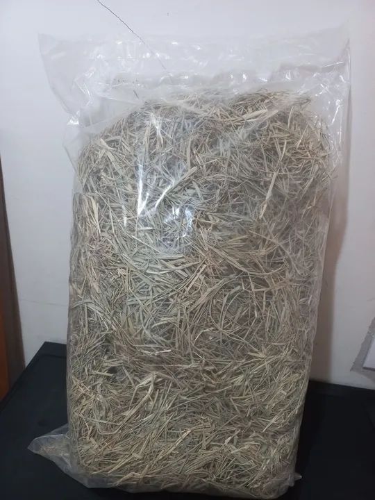 Feno para Roedores - Pacote de 2kg