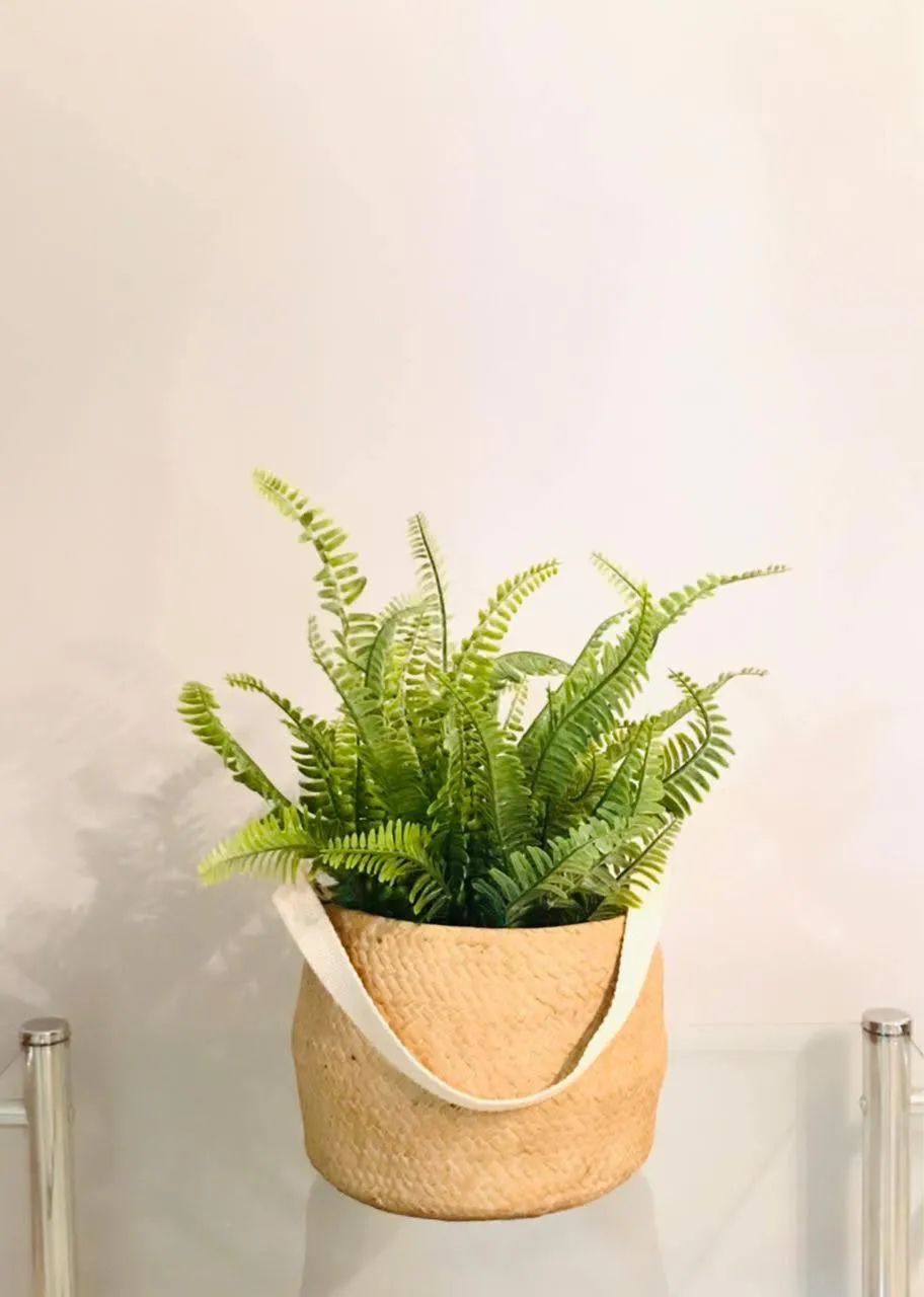Plantas Decorativas Artificiais com Vasos Estilosos - Prontas pra Decorar - Foto 3