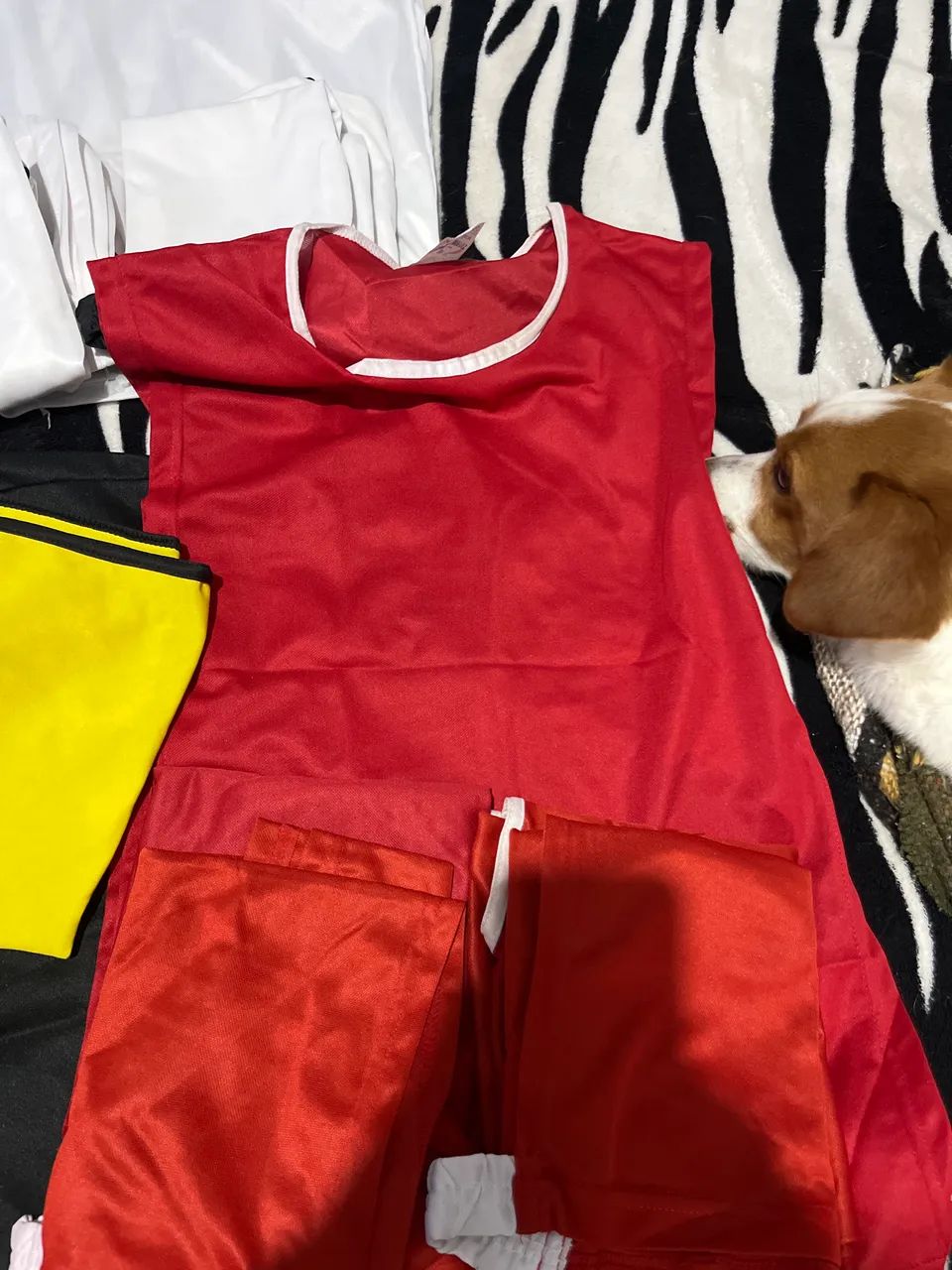 Coletes futebol - Foto 4