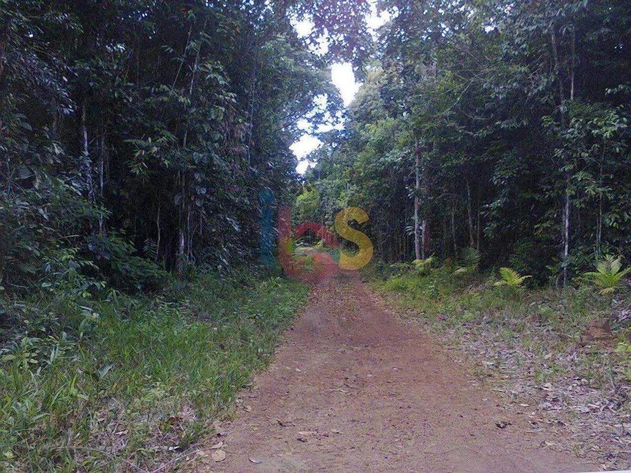 Fazenda Jueirana ll - Foto 4