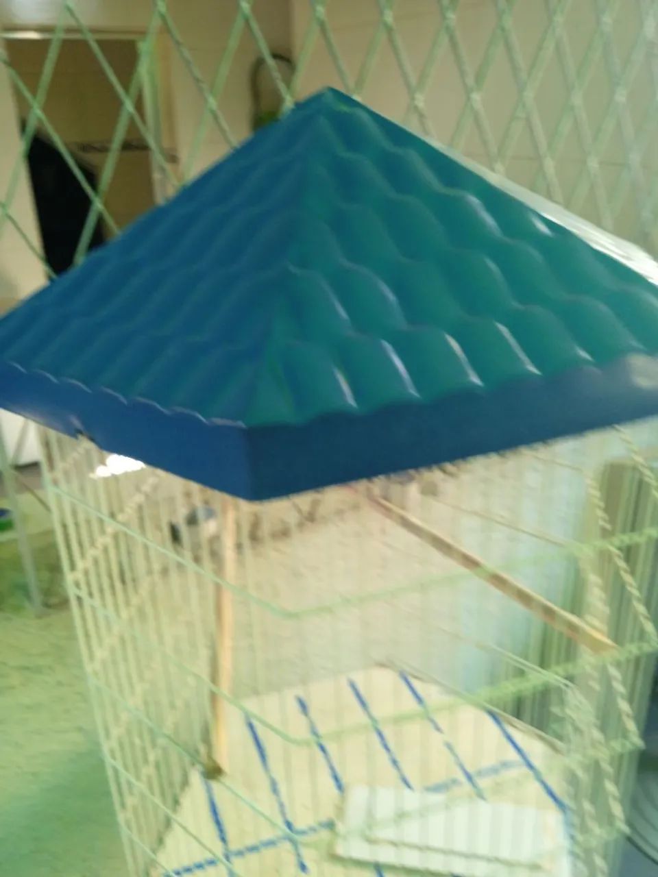 Viveiro Bragança  - Foto 2