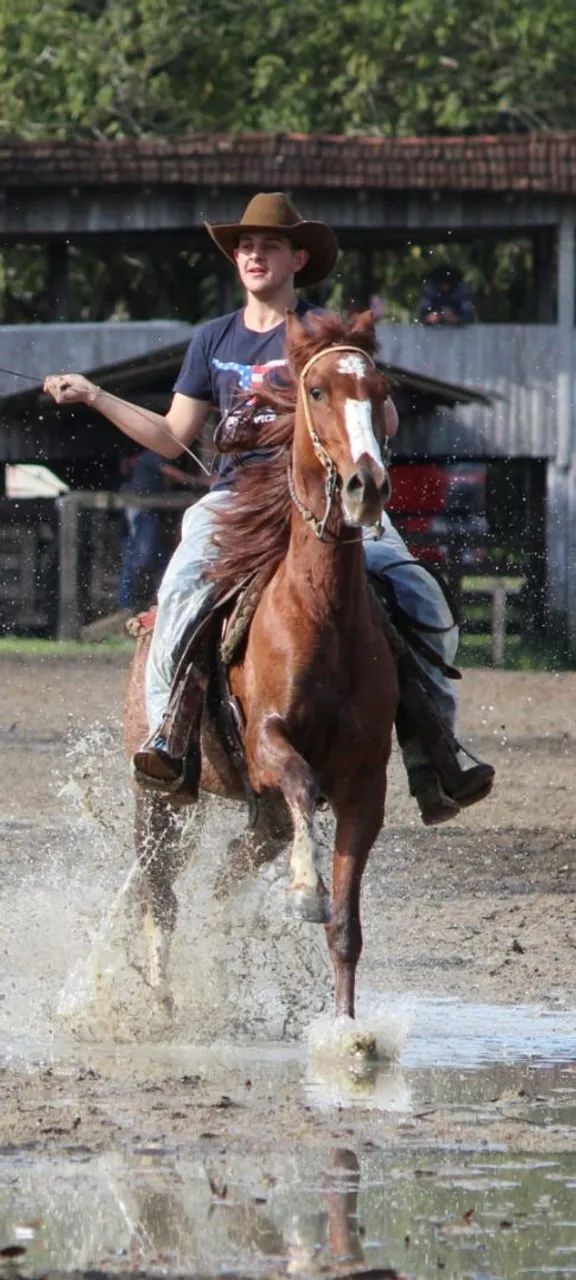 Égua manga larga  - Foto 6