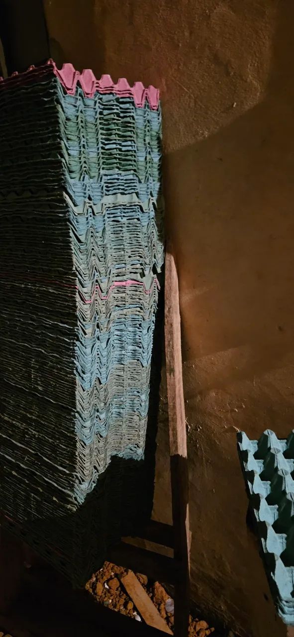 Caixa de Ovos de Papelão - Diversas Cores - Foto 3