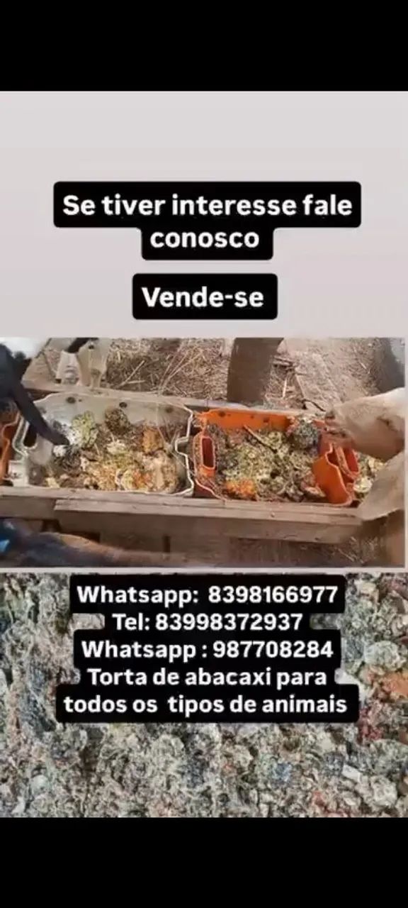 Alimentação animal - Foto 2