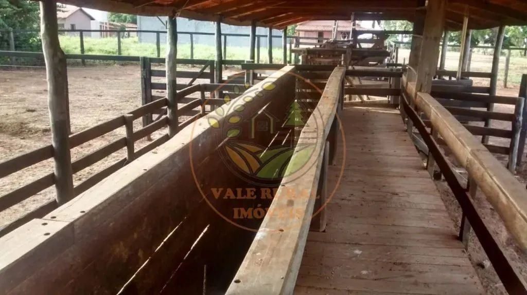FAZENDA DE 800 HECTARES EM SÃO GONÇALO DO ABAETÉ - MG FA00253 - Foto 4